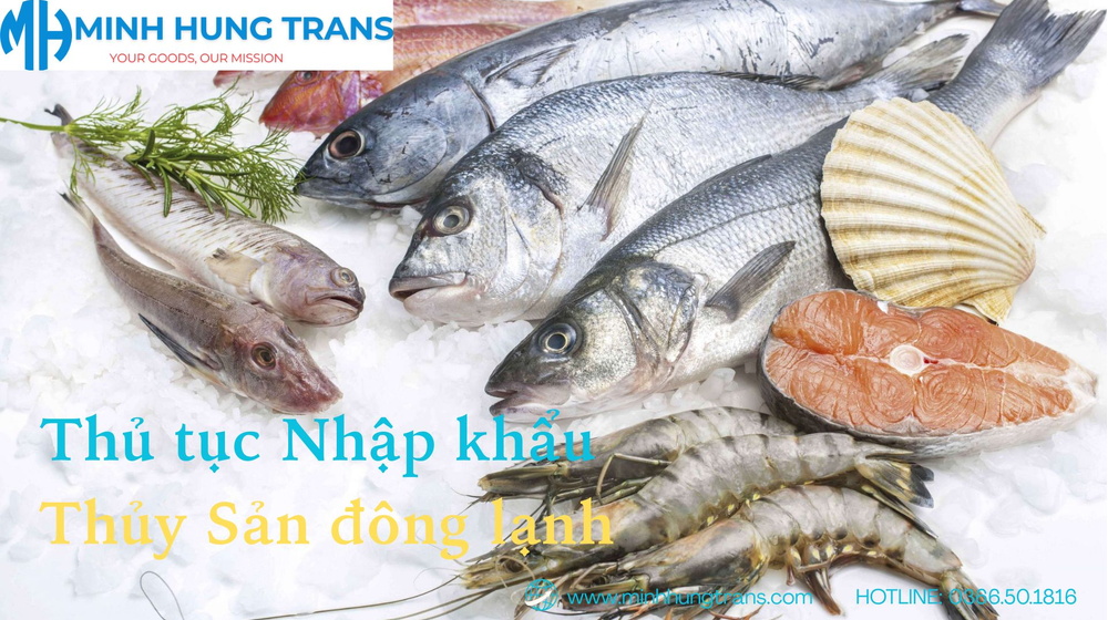 Thủ tục nhập khẩu thủy sản đông lạnh -Cẩm nang và xu hướng năm 2026