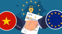 Tra cứu co mã REX và form D - Chứng nhận xuất xứ điện tử
